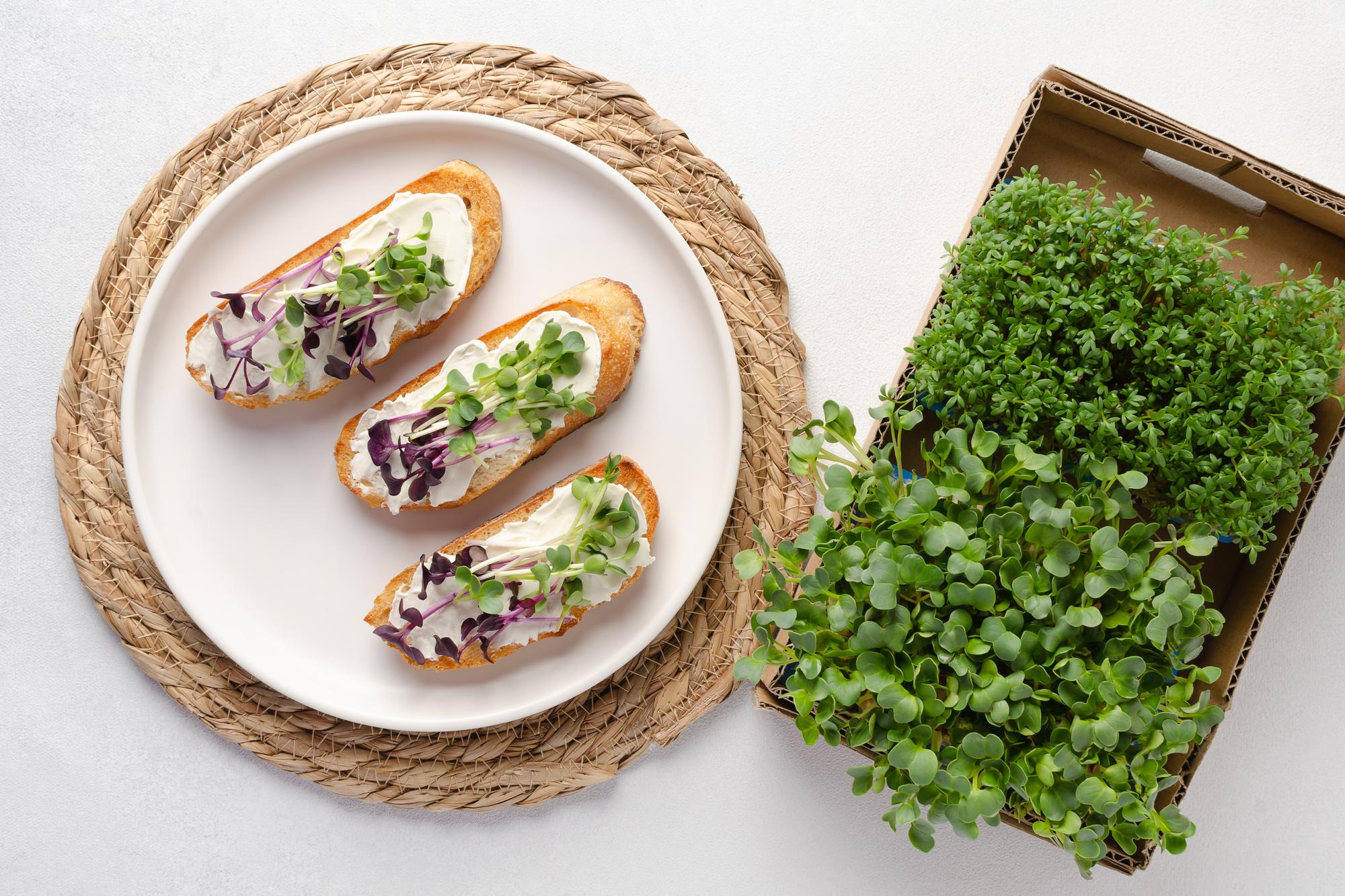 Neatly plated dessert with microgreens